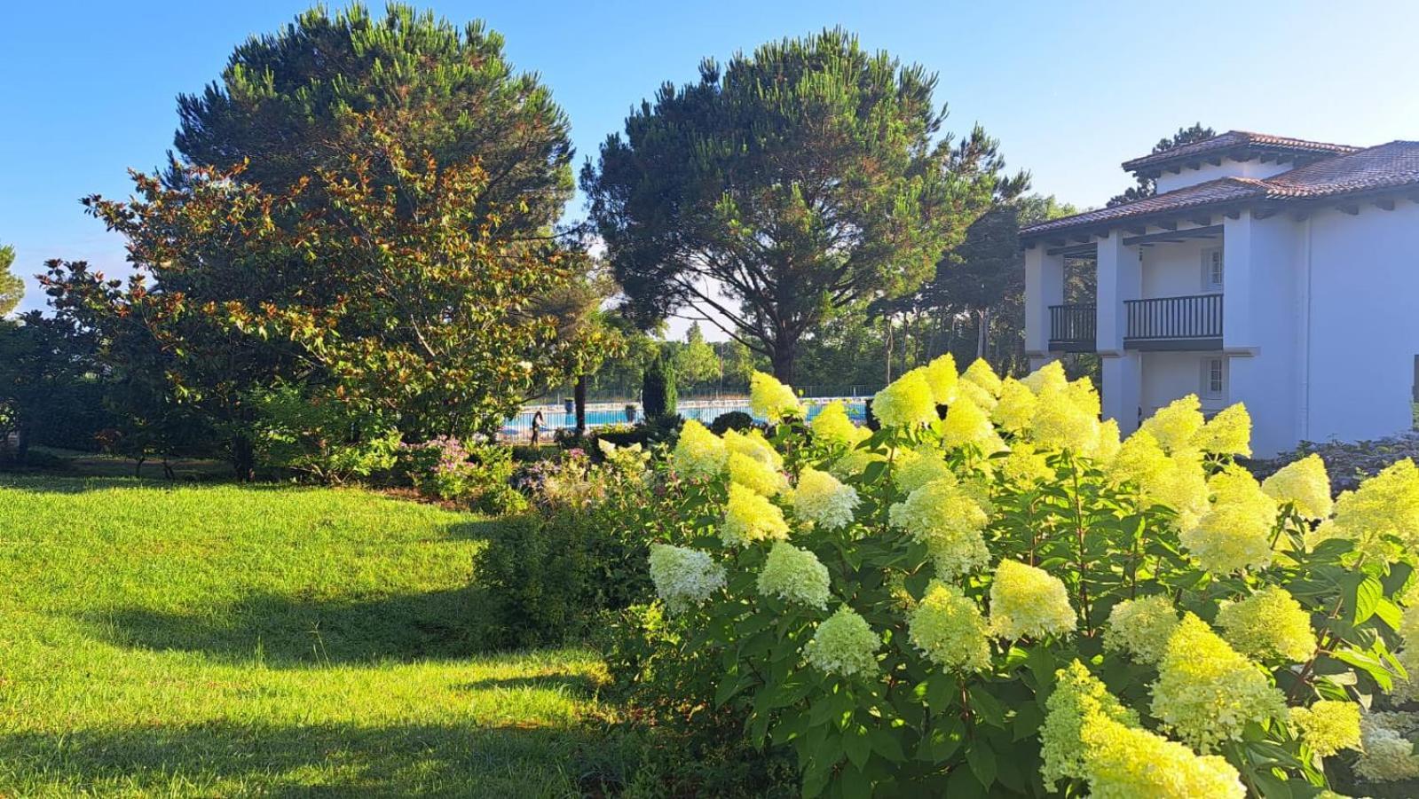 شقة Atlantic Selection - Domaine De Bordaberry - Terrasse & Superbe Piscine يورونْيِ المظهر الخارجي الصورة